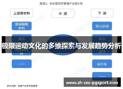 极限运动文化的多维探索与发展趋势分析