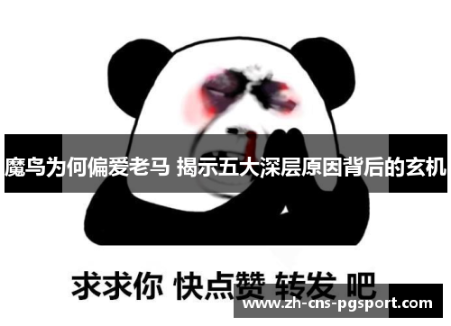 魔鸟为何偏爱老马 揭示五大深层原因背后的玄机