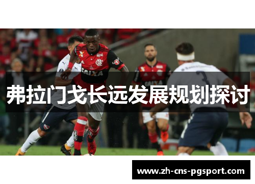 弗拉门戈长远发展规划探讨